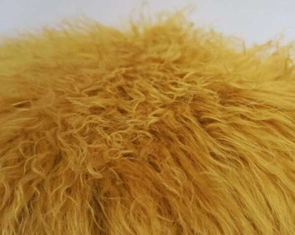mongolian yellow curly