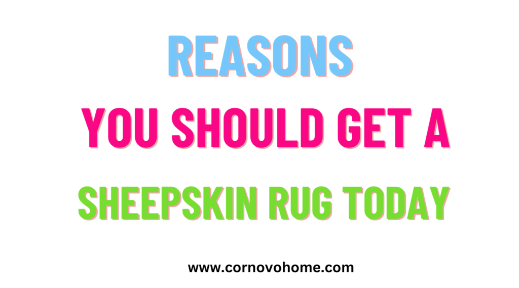 2 reasons you should get a sheepskin rug today