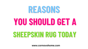 2 reasons you should get a sheepskin rug today