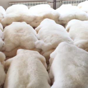 Genuine Sheepskin Rugs